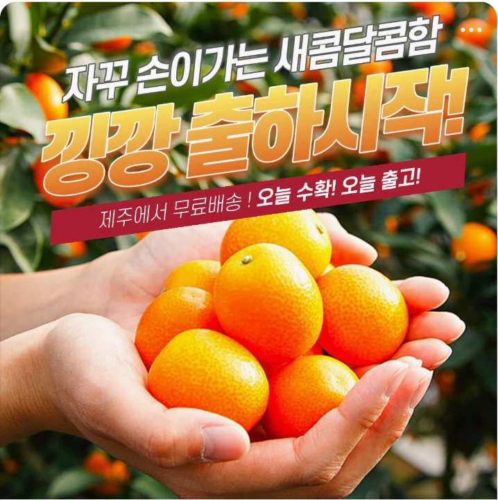 음료/기호식품 배너