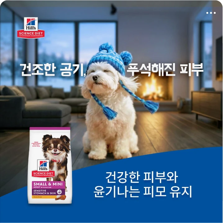 식품/제과 배너