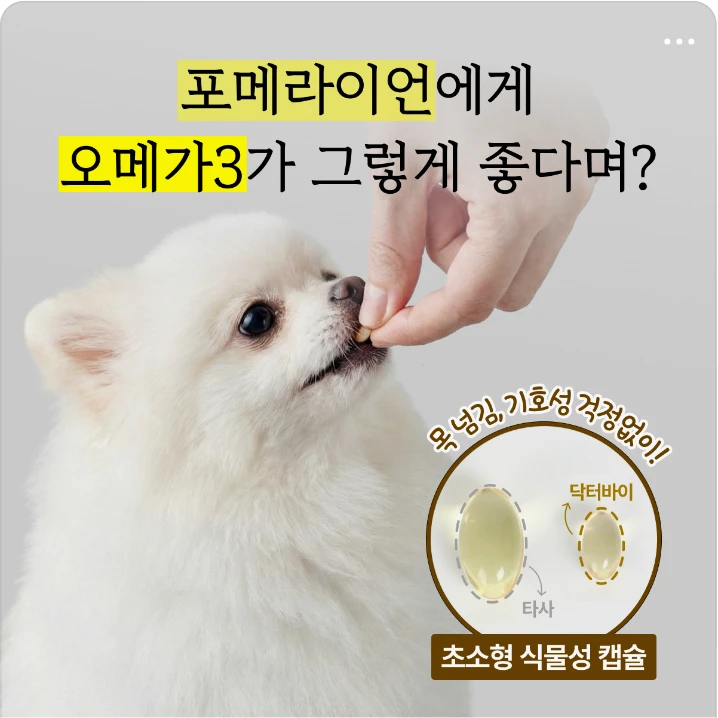 식품/제과 배너