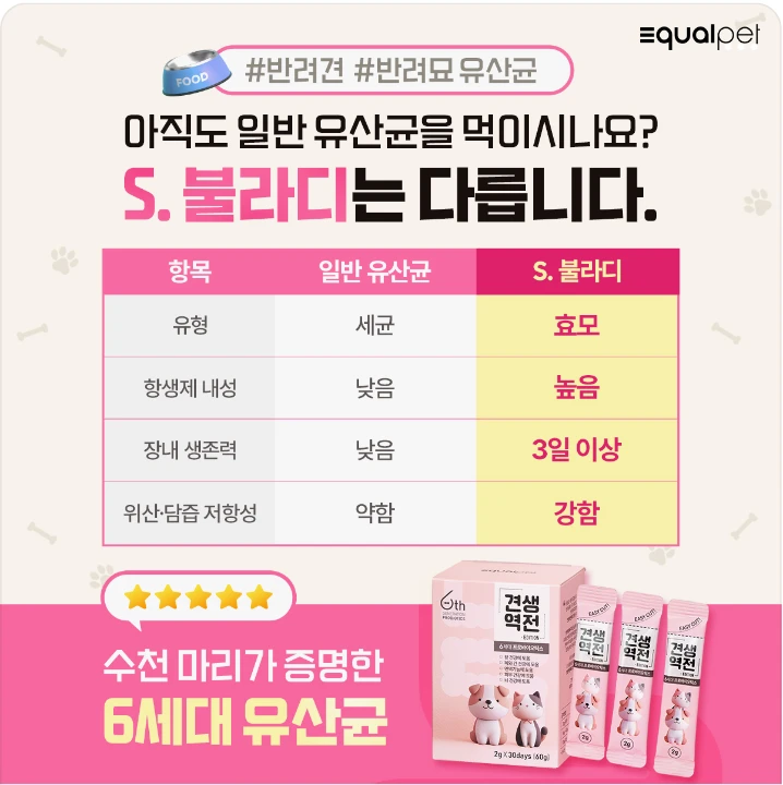 식품/제과 배너