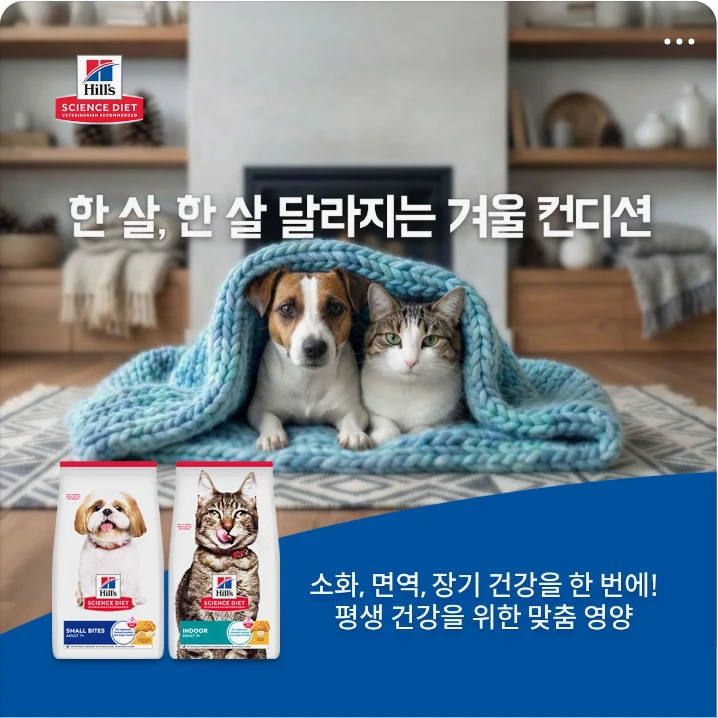 식품/제과 배너