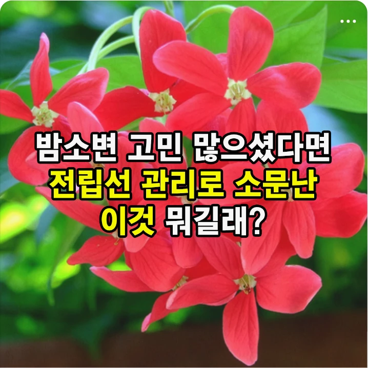 생활/가정용품 배너