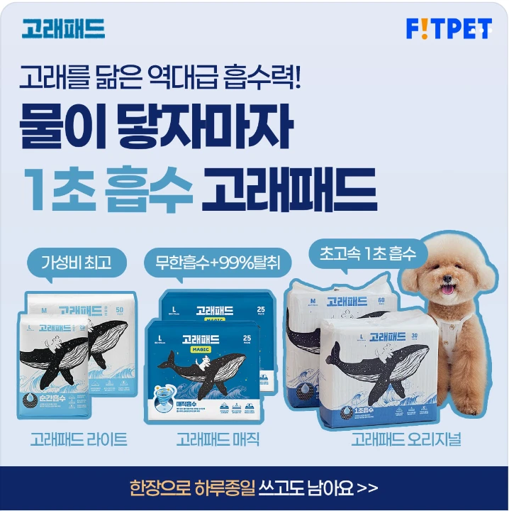 생활/가정용품 배너