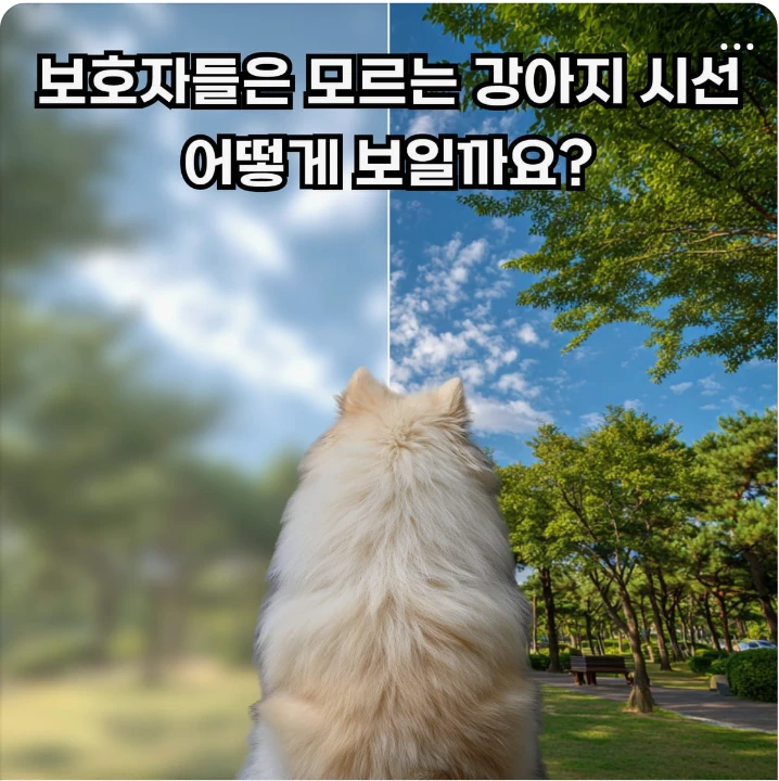 출판/교육/문화 배너