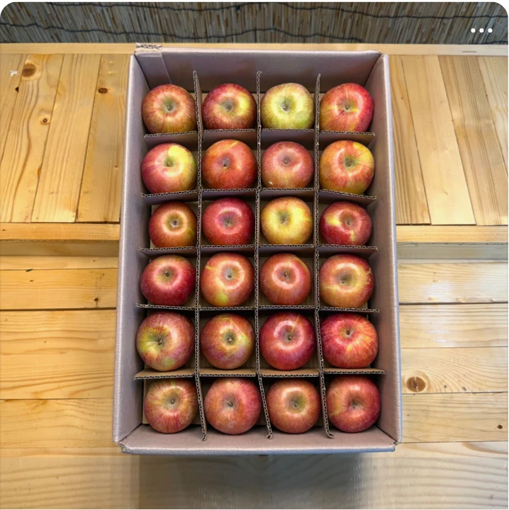 식품/제과 박스형 배너 광고 디자인 레퍼런스