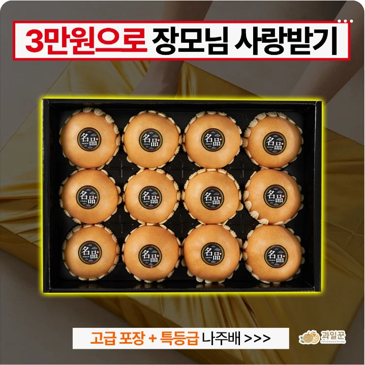 식품/제과 박스형 배너 광고 디자인 레퍼런스