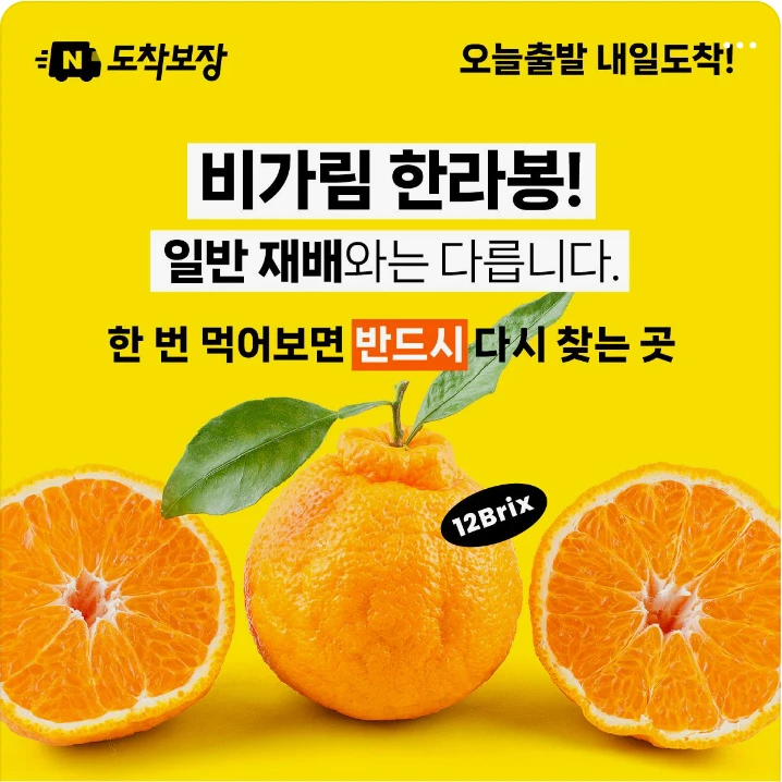 식품/제과 박스형 배너 광고 디자인 레퍼런스