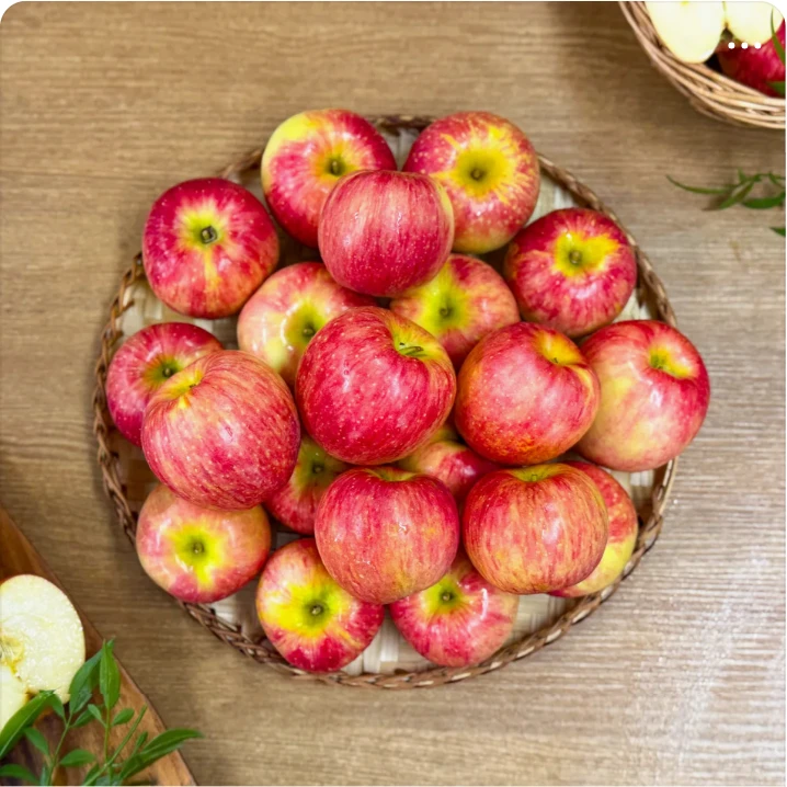 식품/제과 박스형 배너 광고 디자인 레퍼런스