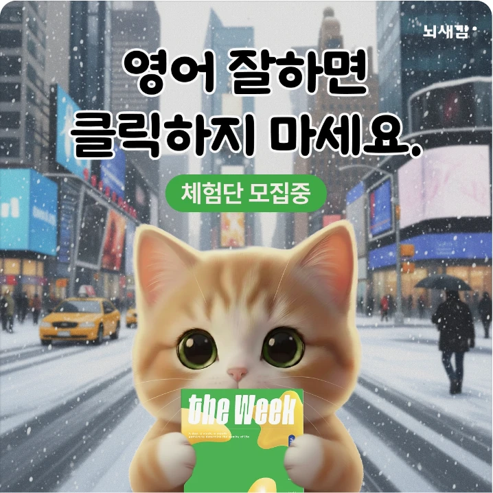 출판/교육/문화 배너