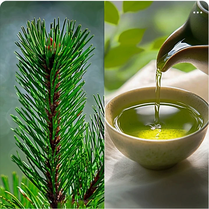 음료/기호식품 배너