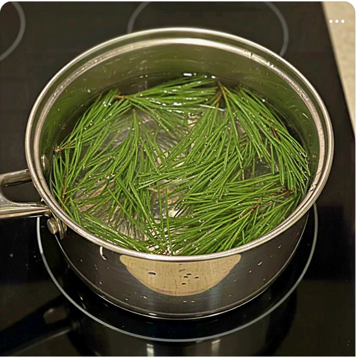 음료/기호식품 배너