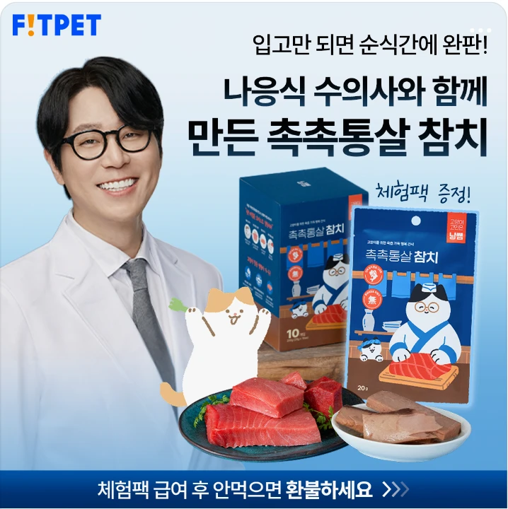 식품/제과 배너