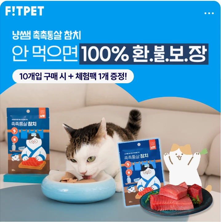 식품/제과 배너