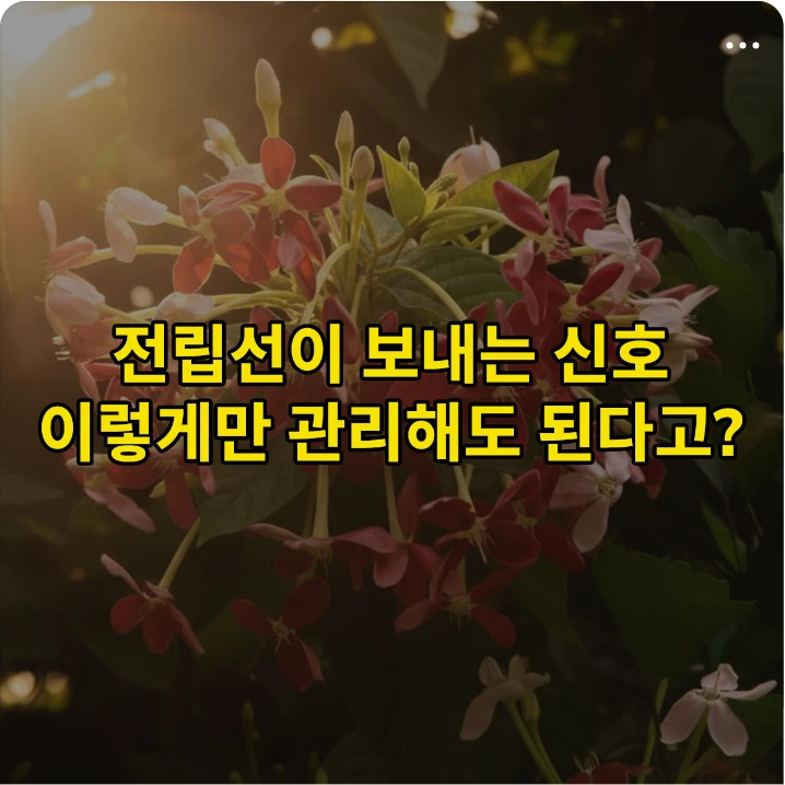 생활/가정용품 배너