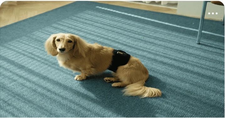 생활/가정용품 배너