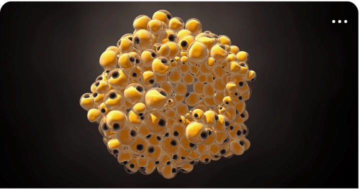 제약/의료/복지 배너