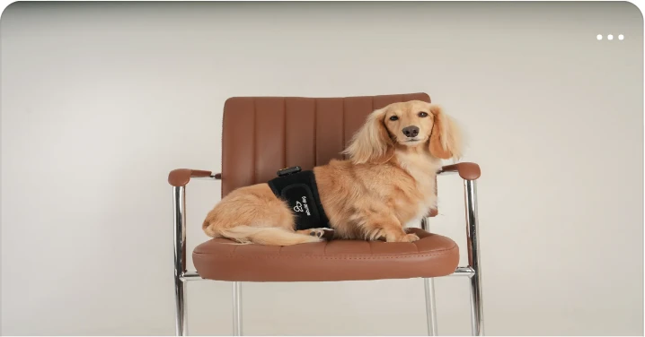 제약/의료/복지 배너