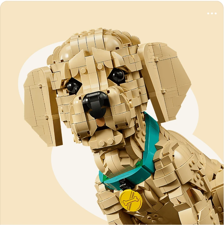 출판/교육/문화 배너