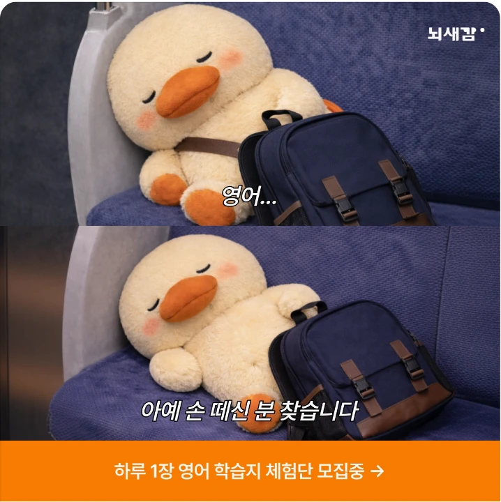 출판/교육/문화 배너