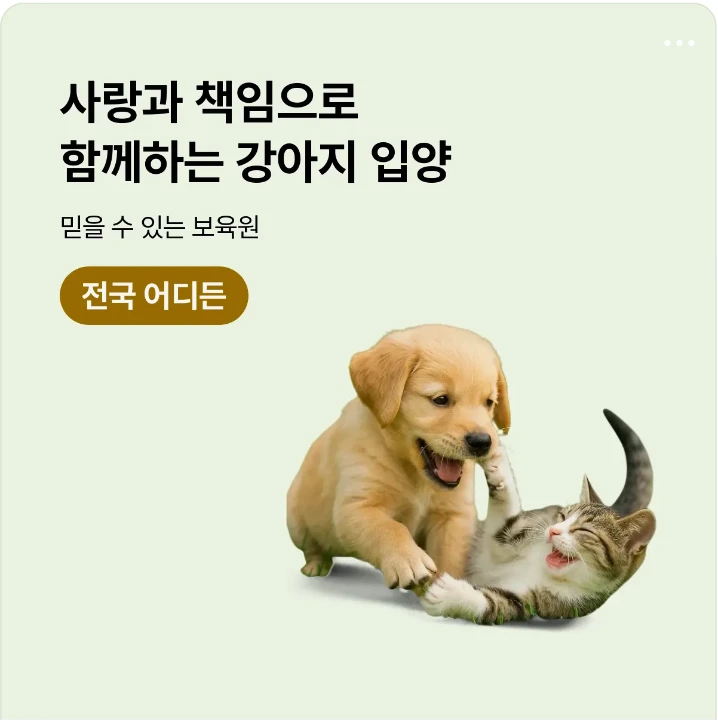 관공서/단체/공익/기업PR 배너