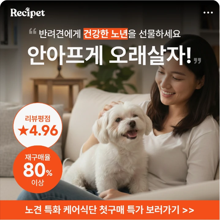 식품/제과 배너