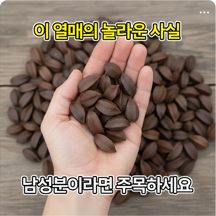 제약/의료/복지 배너
