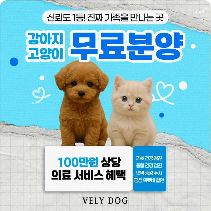 제약/의료/복지 배너