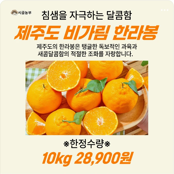 식품/제과 배너