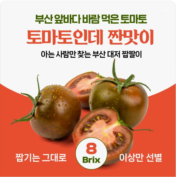 식품/제과 배너