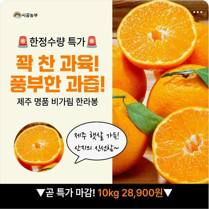 식품/제과 배너