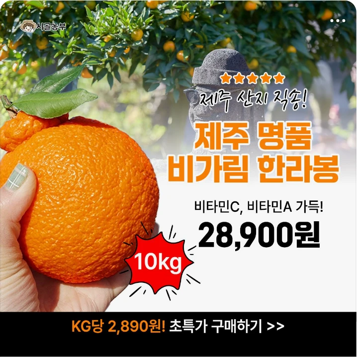 식품/제과 배너