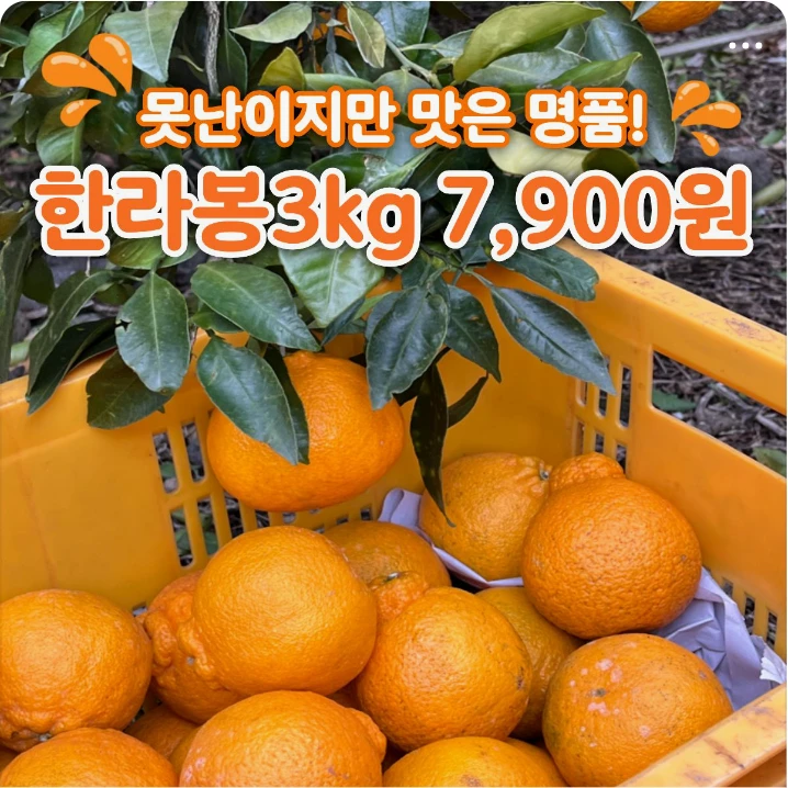 식품/제과 배너