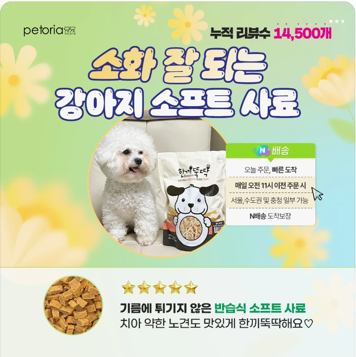 식품/제과 박스형 배너 광고 디자인 레퍼런스