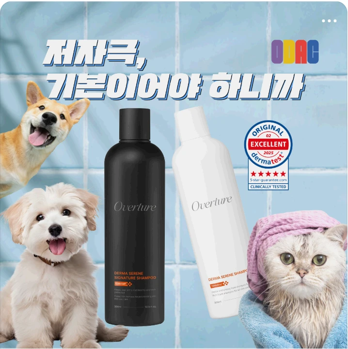 화장품 박스형 배너 광고 디자인 레퍼런스