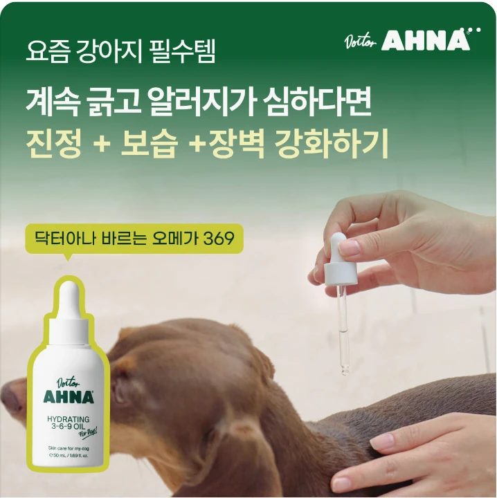 제약/의료/복지 박스형 배너 광고 디자인 레퍼런스