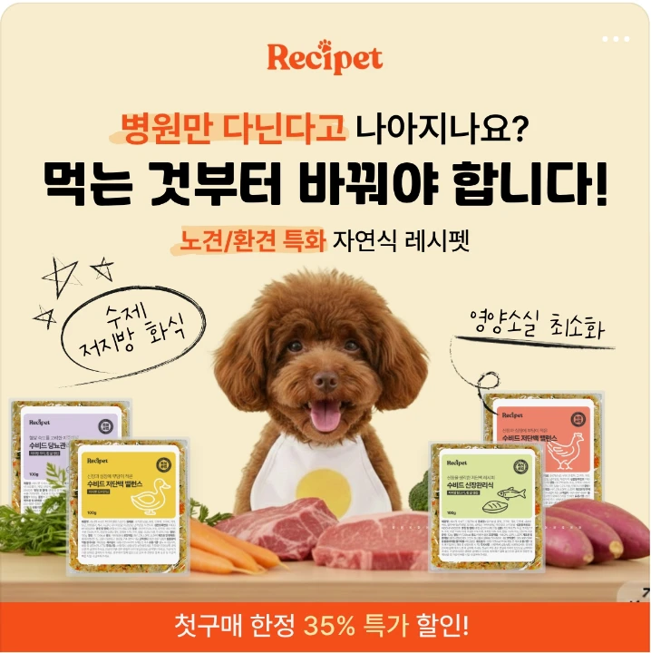 식품/제과 박스형 배너 광고 디자인 레퍼런스