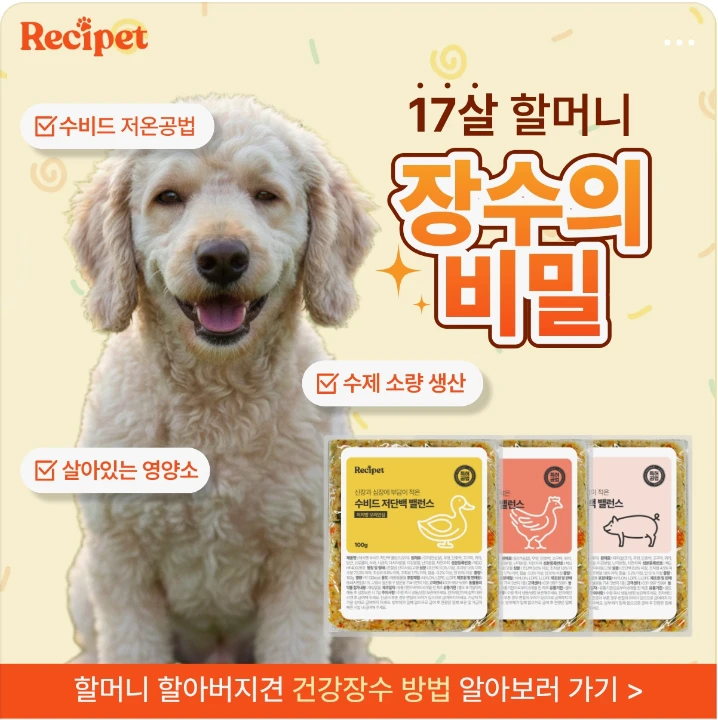 식품/제과 박스형 배너 광고 디자인 레퍼런스