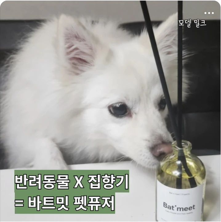 생활/가정용품 박스형 배너 광고 디자인 레퍼런스