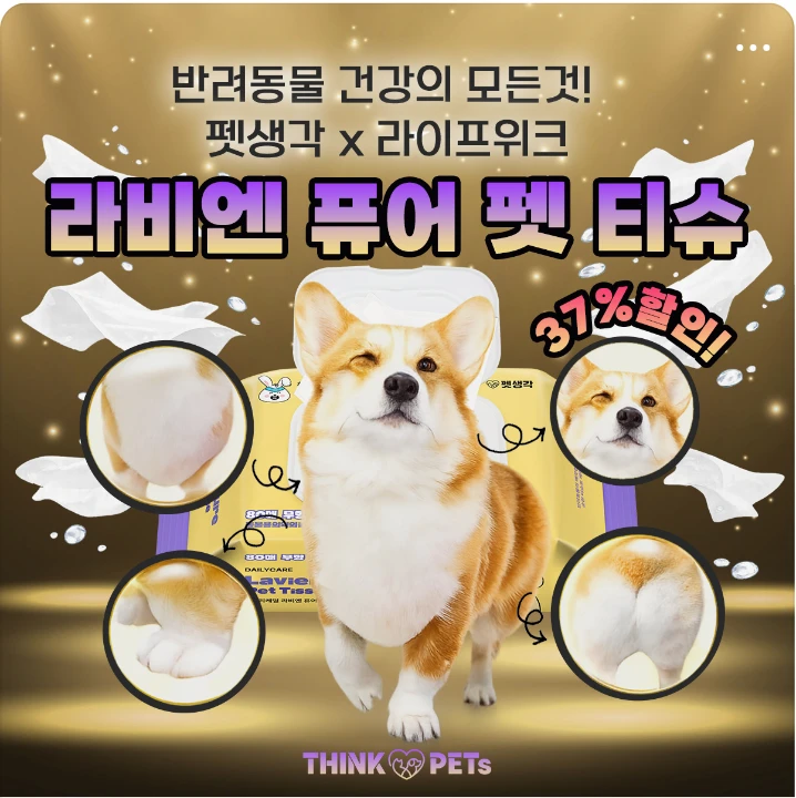 생활/가정용품 박스형 배너 광고 디자인 레퍼런스