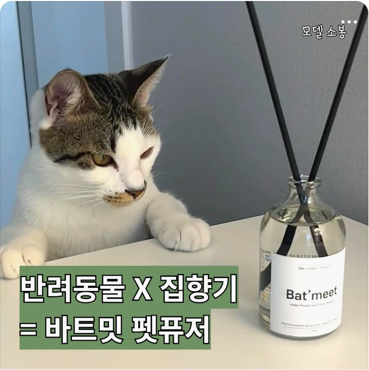 생활/가정용품 박스형 배너 광고 디자인 레퍼런스