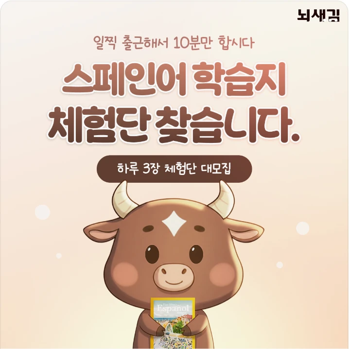 출판/교육/문화 박스형 배너 광고 디자인 레퍼런스