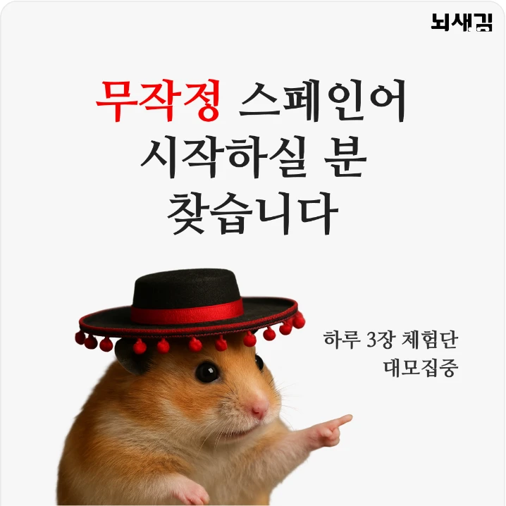 출판/교육/문화 박스형 배너 광고 디자인 레퍼런스