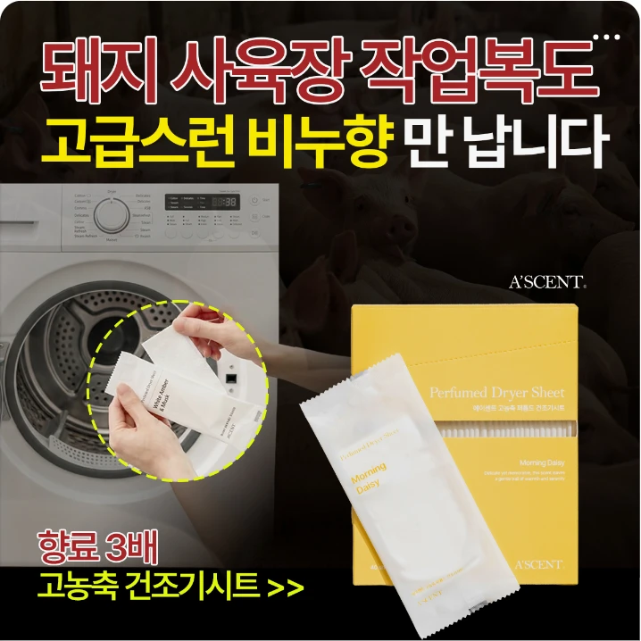 생활/가정용품 배너