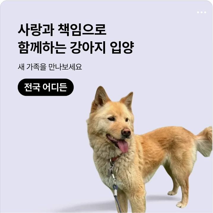 관공서/단체/공익/기업PR 배너