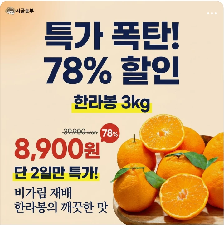 식품/제과 배너