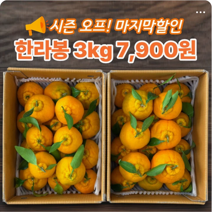 식품/제과 배너