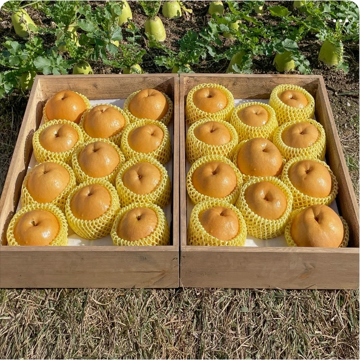 식품/제과 배너