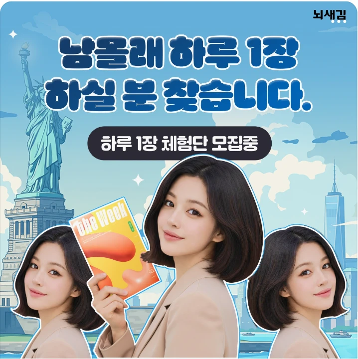 출판/교육/문화 배너