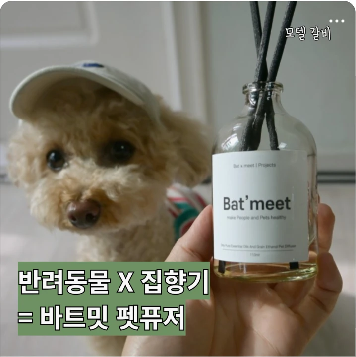 생활/가정용품 배너