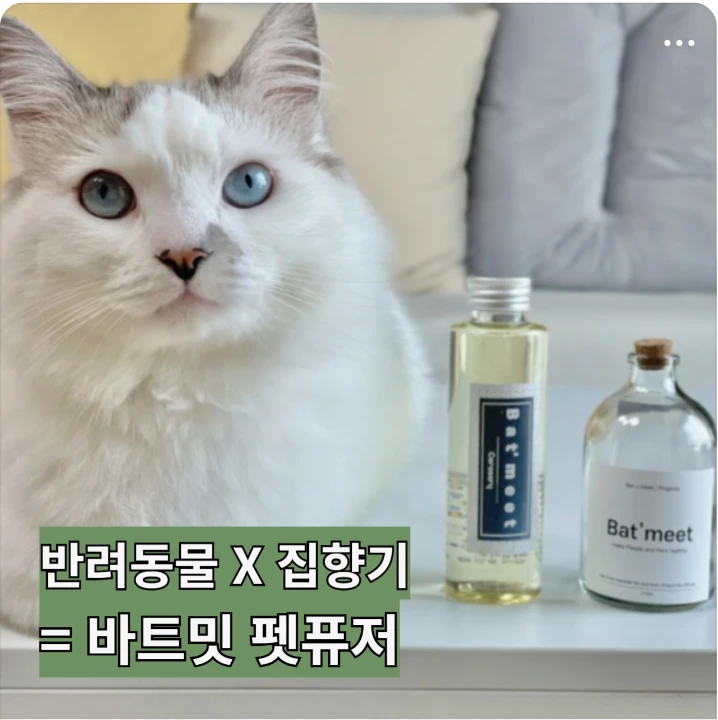 생활/가정용품 배너